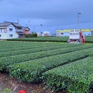 Green Tea World in Japan #greentea #matcha #ชาเขียว #ชาเขียวมัทฉะ #เที่ยวญี่ปุ่น บริการรถส่วนตัวพร้อมคนขับคนไทยในญี่ปุ่น 🚌🚐🚗รถและพนักงานทุกคนมีใบอนุญาตถูกต้องตามกฏหมายของประเทศญี่ปุ่น 🇯🇵 🇯🇵 🇯🇵 สนใจสามารถสอบถามทางข้อความ หรือ Comment หรือจะตามลิ๊งด้านล่างได้เลยครับIf you need more information, please feel free to contact us via the link below Website : https://touristservice-planning.com | FB : https://www.facebook.com/JapanTSP | IG : https://www.instagram.com/touristserviceplanning | Tiktok : https://www.tiktok.com/@tsp.tourist.service | Line : https://page.line.me/tsp-japan | Line Official ID : @tsp-japan by @touristserviceplanning at November 5th 57798, 8:03:20 pm